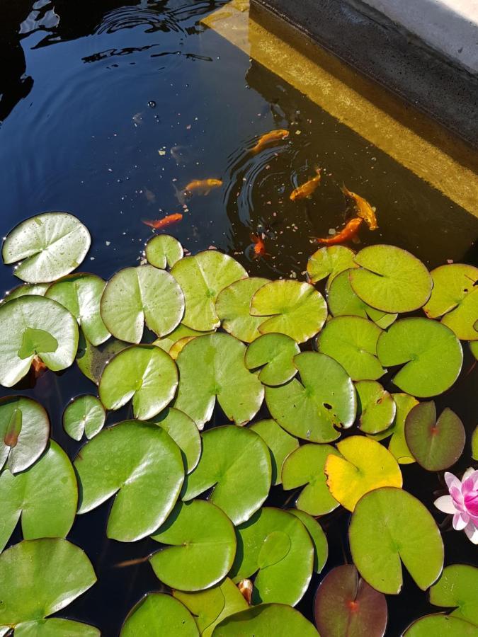 Vila Florena Garden Palanga Luaran gambar