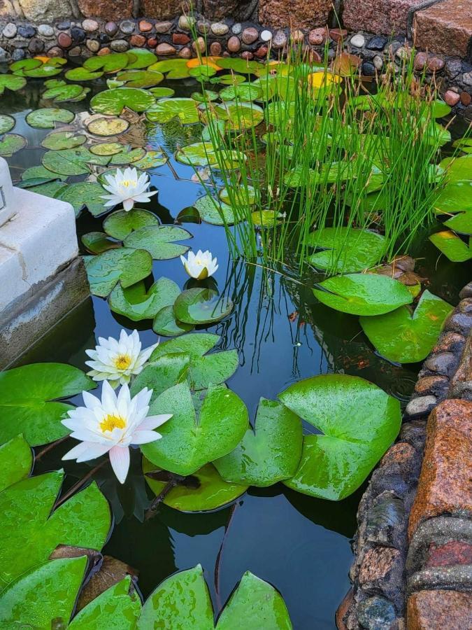 Vila Florena Garden Palanga Luaran gambar