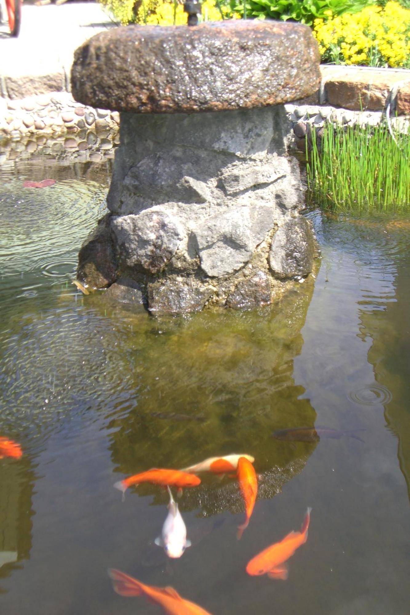 Vila Florena Garden Palanga Luaran gambar